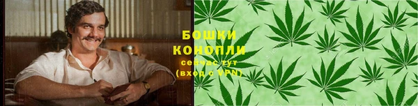 таблы Краснослободск