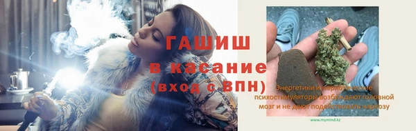 гидра Костерёво