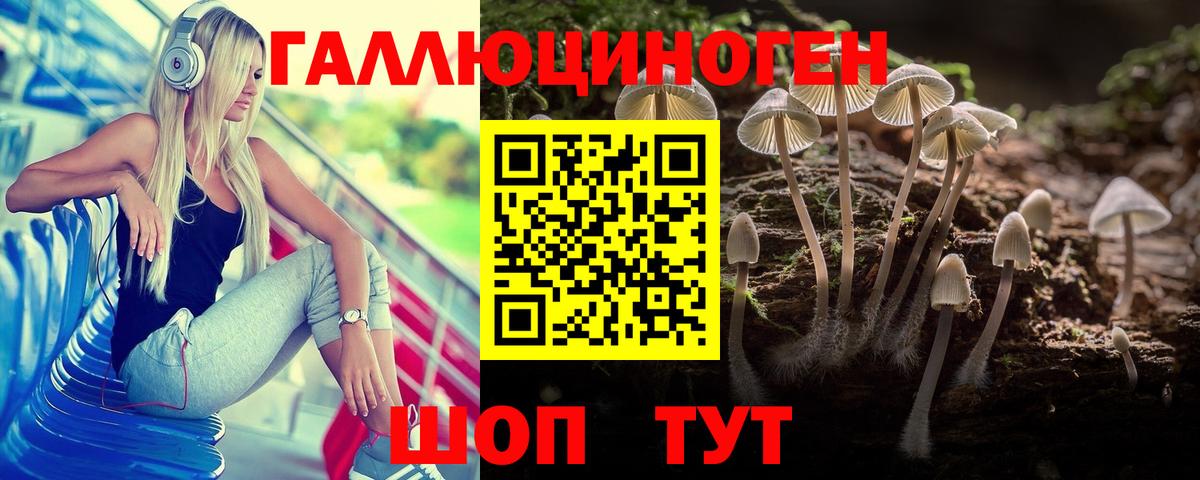 как найти наркотики  Псилоцибиновые грибы Psilocybe  Псилоцибиновые грибы мицелий  Вход с VPN  Кызыл 