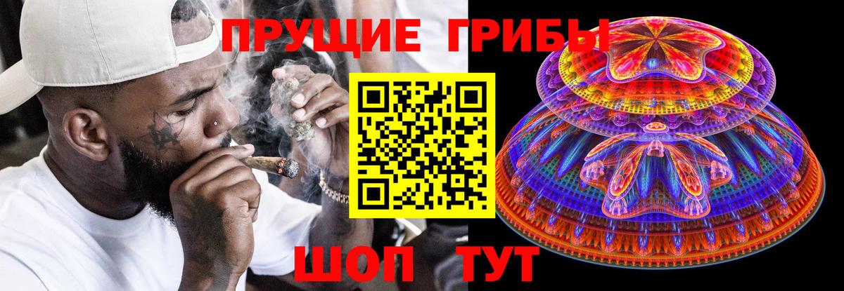 Псилоцибиновые грибы Psilocybe Кызыл