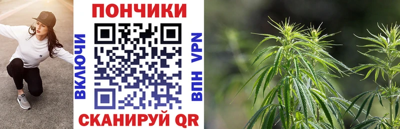 продажа наркотиков  Кызыл  Шишки марихуана план 